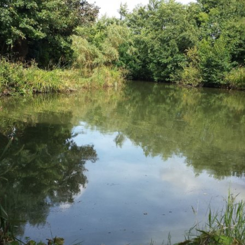 Fishery Pool Bridge Farm North Yorkshire